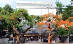 Hanto - Zenith Centre